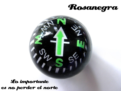 La rosa negra
